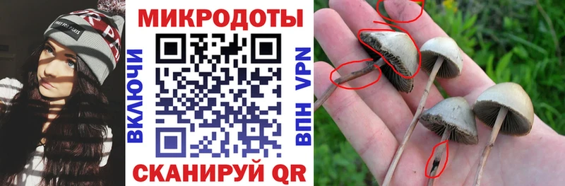 Псилоцибиновые грибы мухоморы  закладки  Одинцово 
